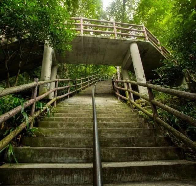  炉场坪@李子柒同款春天，你想拥有吗？