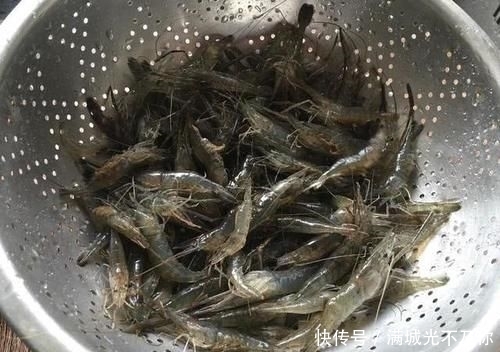  种河虾@曾经一捞就一大盆，常捞来给母猪吃了下奶，现在80元一斤