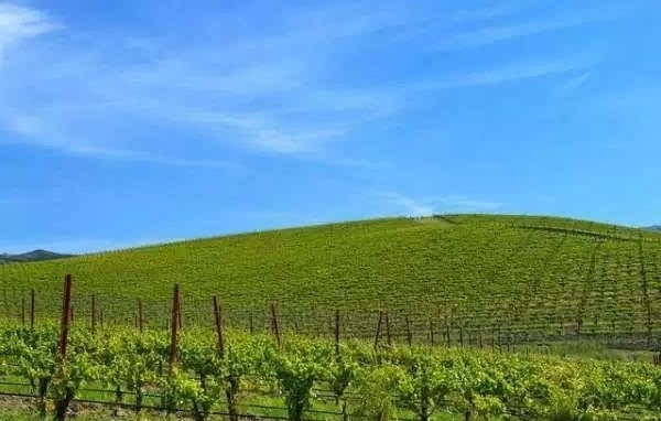 世界上最牛的照片：超过18亿人天天看到，如今已面目全非！