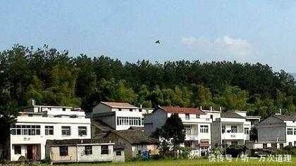 明年起，2类农民会数钱数到手软，只要点头同意，几十万轻松到手