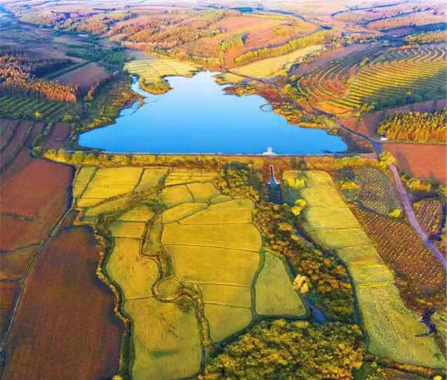  退耕|当年国家组织大量人力开垦“北大荒”，为何现在却退耕还“