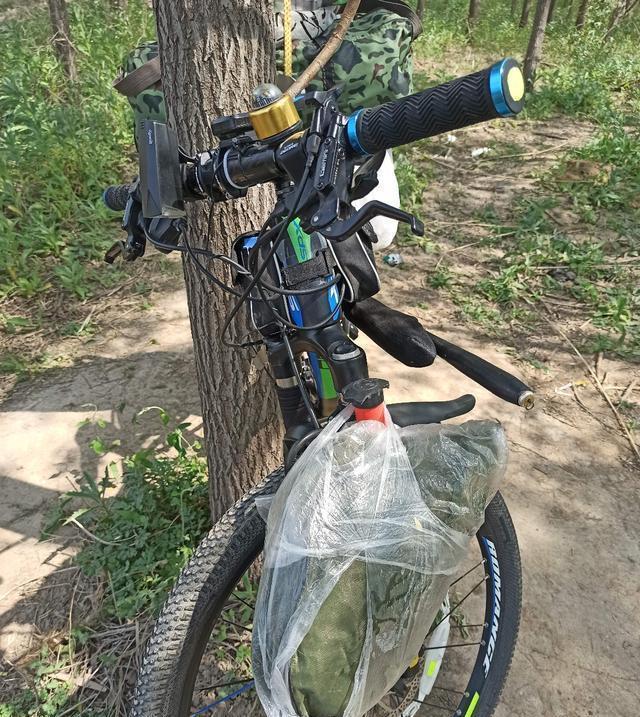  【竿子】拯救卡节老钓竿，继续发挥余热钓大鱼