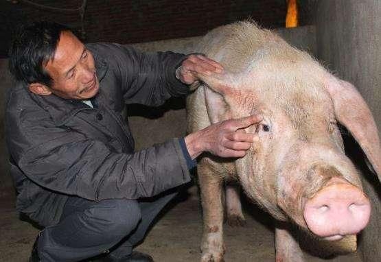 未来十年，4个适合在农村投资的项目，农民朋友可以了解下