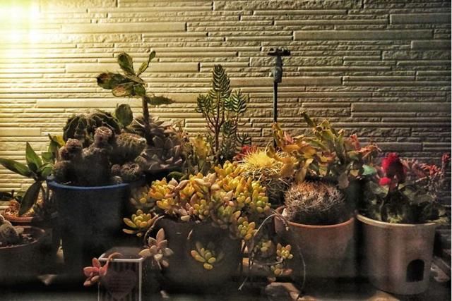 王思聪、李易峰甜蜜出游，这个国家是去100次都不会腻的地方