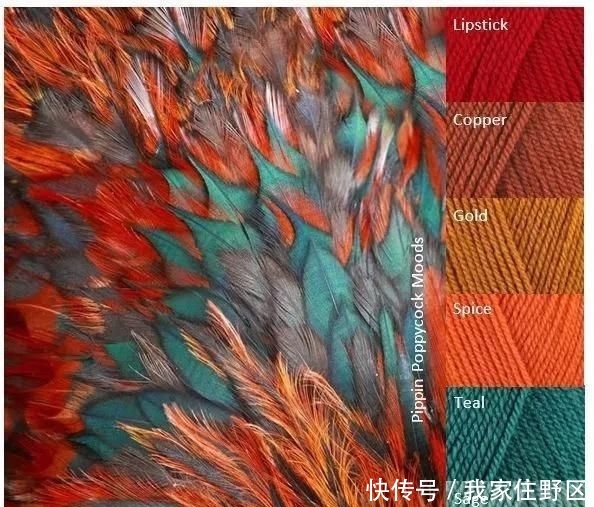  【色彩】「编织技巧」零基础也能学会的色彩搭配小技巧，配色太重要了