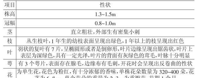  玫瑰具：大马士革玫瑰栽培管理技术探索，最基本的这几点, 你做好了吗?