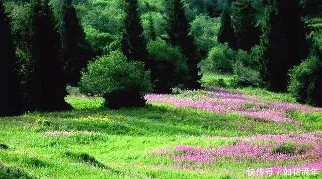 新疆有个地方，比香港还晚回归！景色却美到无法无天！