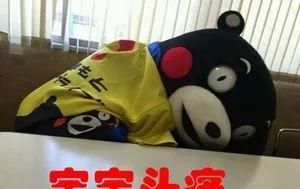  『建议仙女们』你穿卫衣的样子，时髦极了