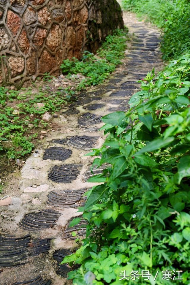 丽江古城80元维护费收了这么多年，但束河旁的梦幻水秀却坚决免费