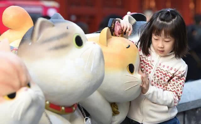 “巨型猫”成网红？拍猫达人教你在故宫看毛茸茸的真“御猫”