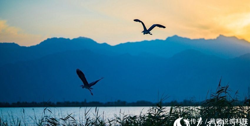 宁夏沙湖5A级景区推出金秋免票优惠措施