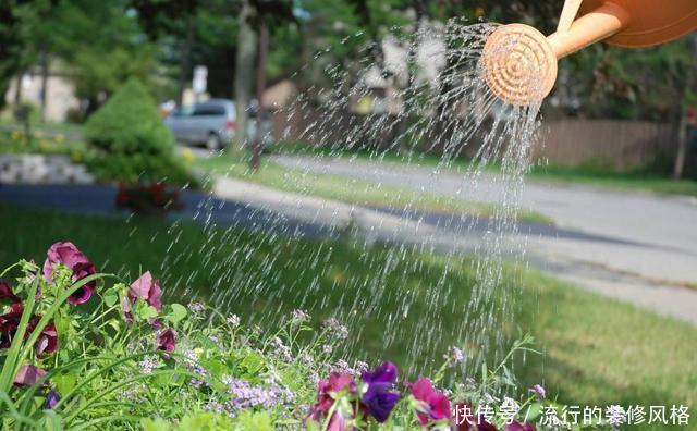  [技术活]浇水是门技术活，方法、时间很关键，做不对容易将花养死