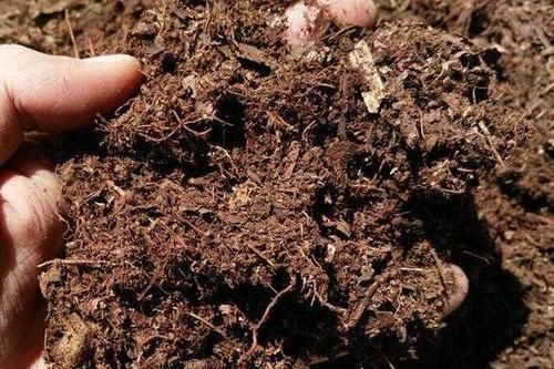  「花草」哪些土壤适合用来盆栽花草？弄懂4种土质，啥花都能蹭蹭长不停