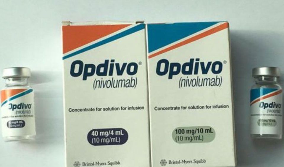 新闻速读 | 俄罗斯载202人客机引擎起火迫降;挪威食品安全局称虹鳟也能生吃;亚运赛场惊现“青天白日旗”