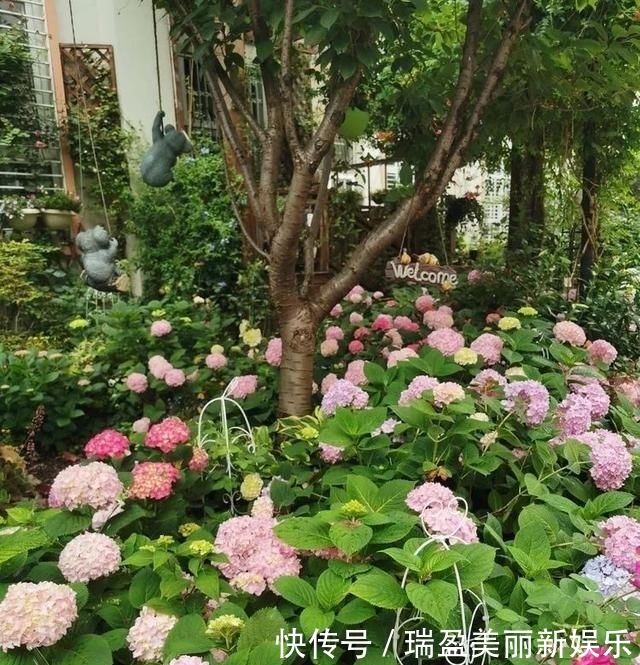  「平方」有了30平方的小院，能将日子过成了诗？简单而精致，优雅而从容！