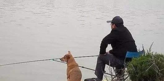  #投放窝料#为什么,给你机会都无法爆护!野外连竿的时候要注意这8点细节