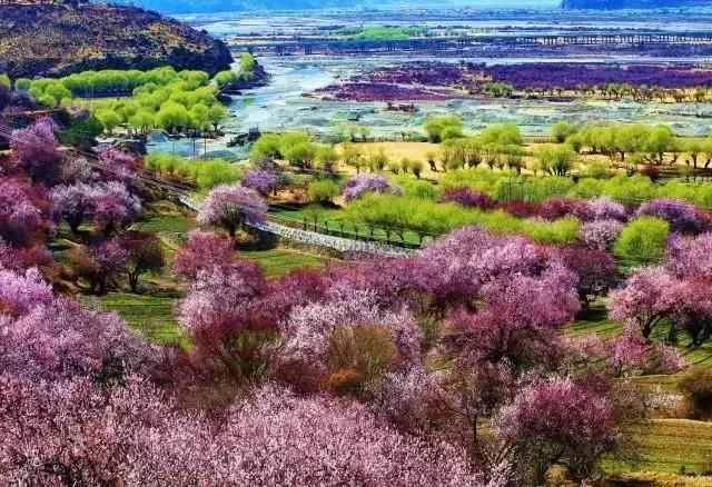 三月，去看中国最美春光