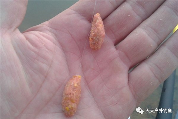  『子线』鱼不咬钩，可以做这些调整，效果立竿见影！