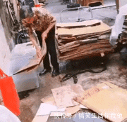  [GIF]搞笑GIF趣图：刘大娘挺爱干净，每次卖纸皮之前都要把它洗一遍…