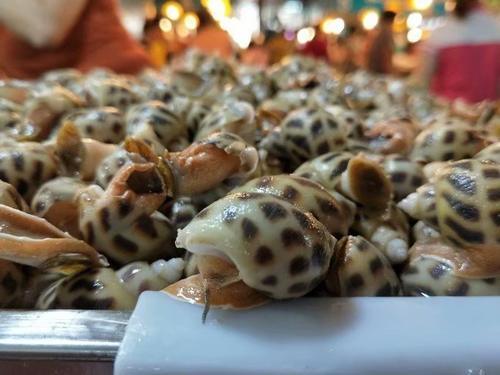 在三亚的碧海蓝天上我要飞得更高，看得更远