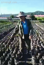 食盐、燕麦片、木耳都不能吃了？才不是，别被谣言蒙蔽了双眼！｜