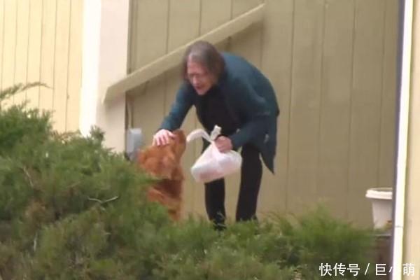  老人■帮独居老人买东西，主人使唤狗狗送过去，它超开心叼起东西就走