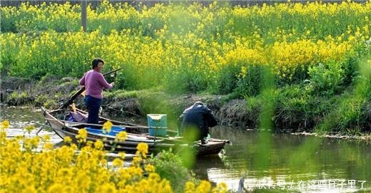 四川遂宁蓬溪县的大镇，是重庆的邻居，也是全国重点镇