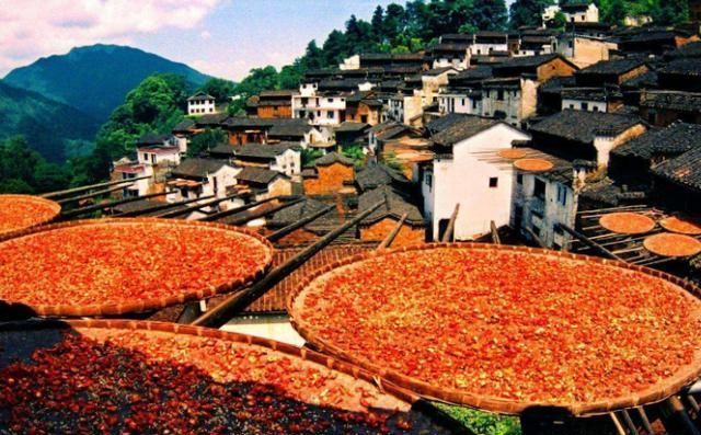 农村俗语：“早立秋凉飕飕，晚立秋热死牛”，今年是早立秋吗