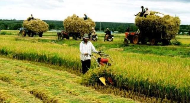  「越南」越南人口近亿，国土仅有中国的三十分之一，怎么还有大