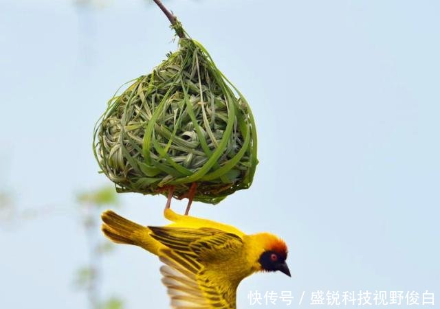 精选一组奇趣图片；北京西山上空出现圆形“航迹云”