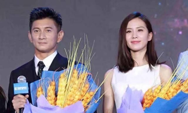  [吴奇隆]吴奇隆久别步步惊心很多年，再演古装剧只有做配？新电视剧男主角邢邵林