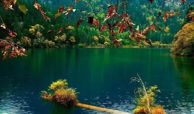 比九寨沟更优雅的景区, 却让游客很无语