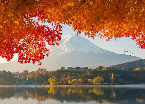 为何许多日本人都讨厌背双肩背包的游客？看完后才知道，表示理解