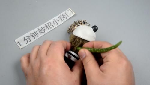  「涂抹一些芦荟汁液」芦荟的4大妙用，别再白白浪费了，学到就是赚到
