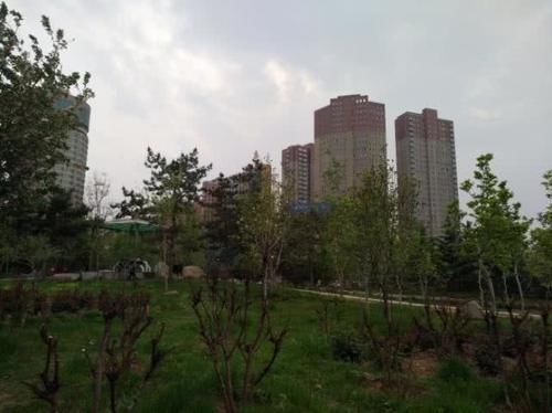  #县市#河南很有发展潜力的3个县级市，一个是灵宝市，一个是在洛