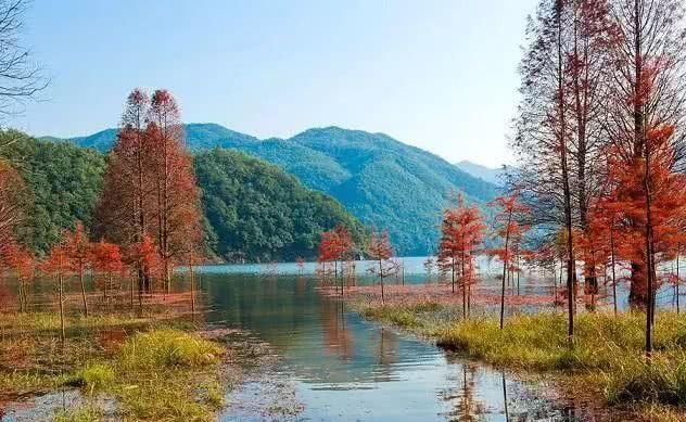 浙江不只有江南烟雨，这10个地方藏着浙江的绝美秋景