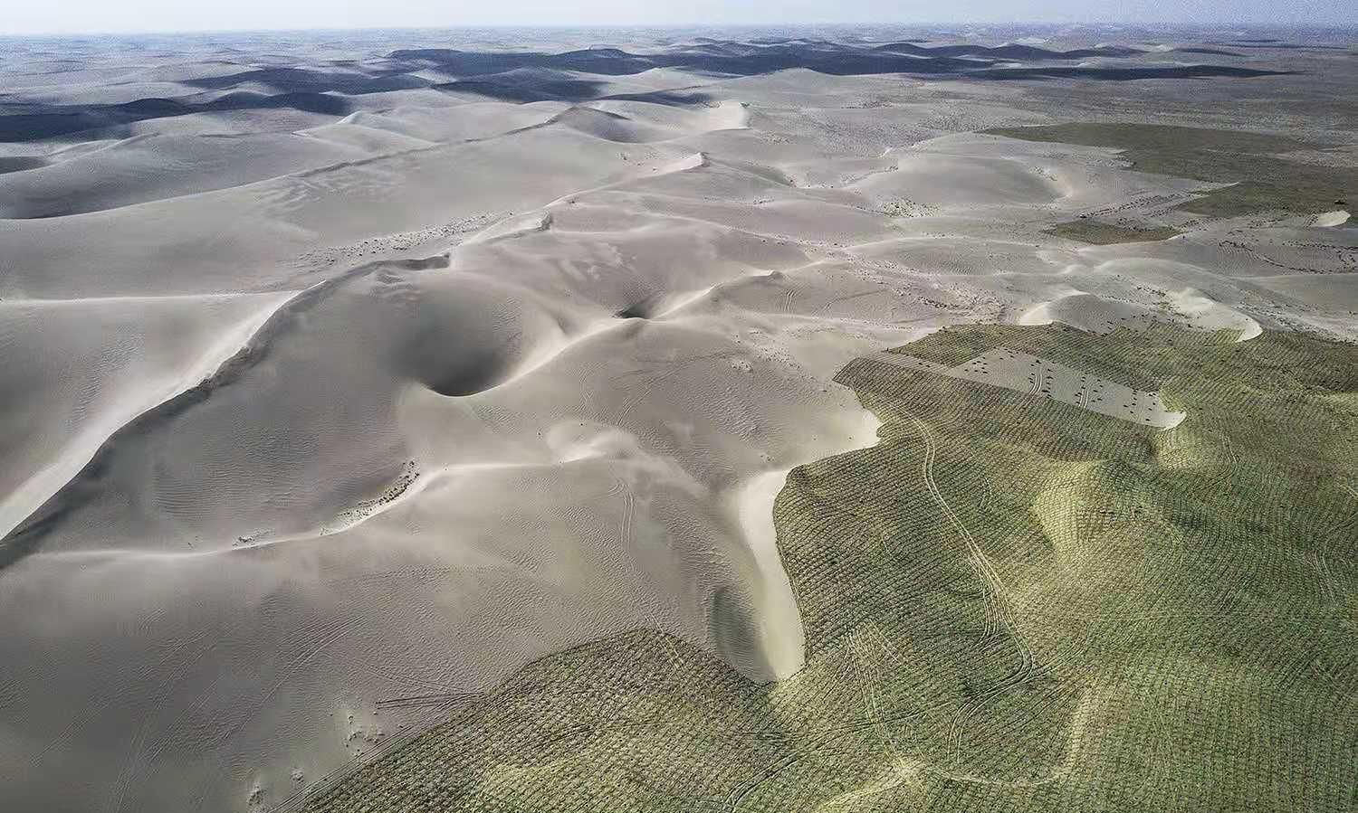  「不少」时隔3年，马云承诺的蚂蚁森林，如今怎么样了？看完不少