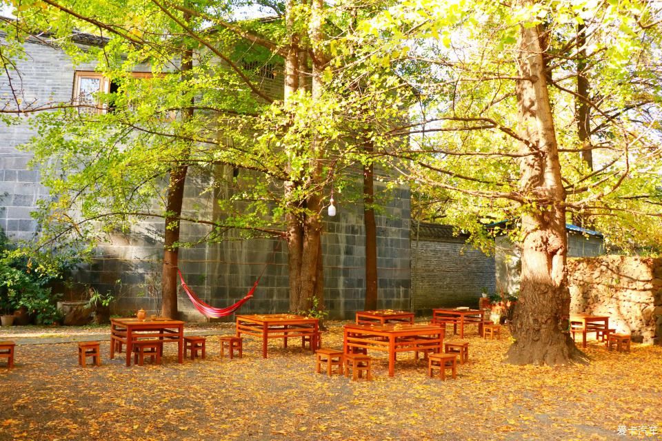 固东银杏村的黄色攻略