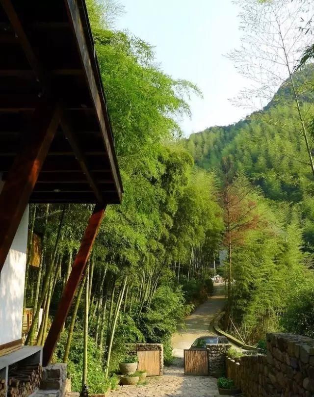  「小院」理想中的乡村小院