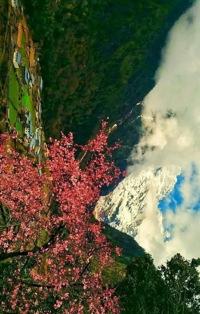 天堂向左,雨崩向右。不去天堂,就去雨崩