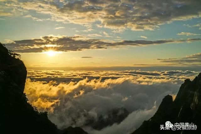 万物悄然复苏，黄山等你来游