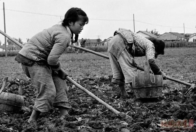 老照片：瑞士人勒内布里拍1976年前的中国