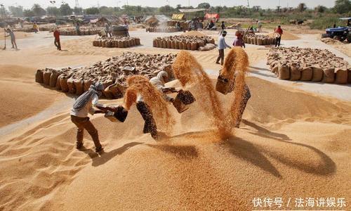  印度|印度粮食产量仅中国一半，养活10亿人口，为何还能大量出口