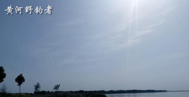 农村小哥海竿野钓黄河，4个小时钓上条鸽子鱼，相传是宫廷鱼