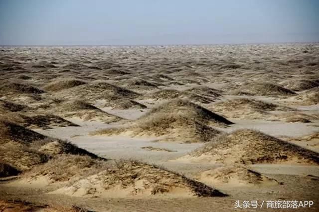 中国这个水利工程让绿洲变成了沙漠，如今沙漠中再现湖泊