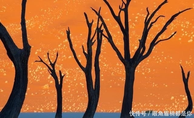 8张看起来像是“假的”照片，但是它们却是真实存在的