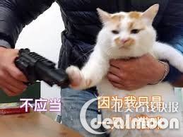 还没试过转运?你想知道的一切都在这里了