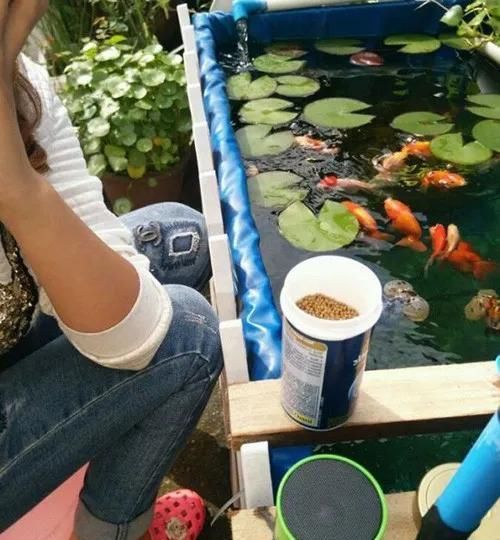 「子非吾」那又怎样？子非吾，焉知吾之乐？