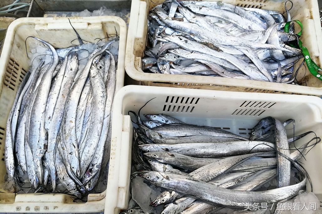 菜市场石蟹打破梭子蟹一统天下 最大60块钱一斤 其他与梭子蟹相仿