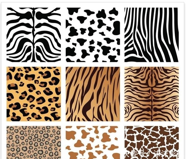 『动物纹元素』不会搭配就不要再来黑豹纹了,豹纹的美你不懂!